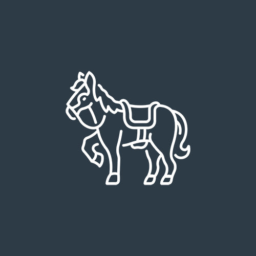 horse